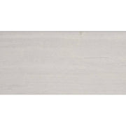 Emser Metro 12"x24" Polished Cream