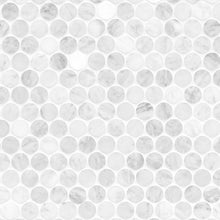 Carrara White