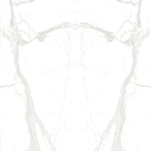 Calacatta Super White