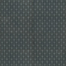 Coal