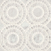 Bedrosians Solis 14.25" x 14.25" Honed White Carrara / White Thassos