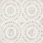 White Carrara / White Thassos