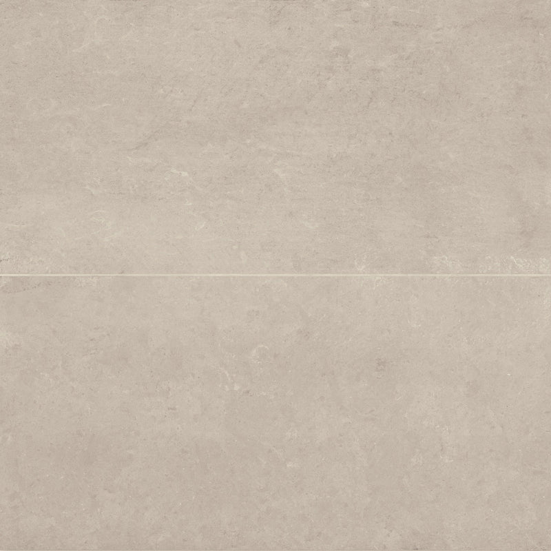 Bedrosians Thaddeus 24" x 48" Matte R11 Almond