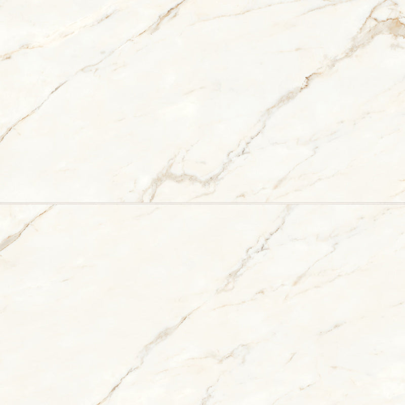 Bedrosians Magnifica 24" x 48" Honed Calacatta Oro