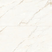 Bedrosians Magnifica 24" x 48" Polished Calacatta Oro