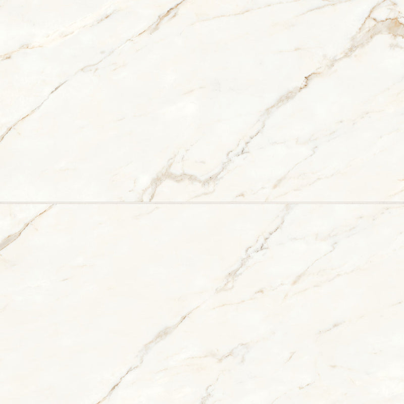 Bedrosians Magnifica 24" x 48" Polished Calacatta Oro