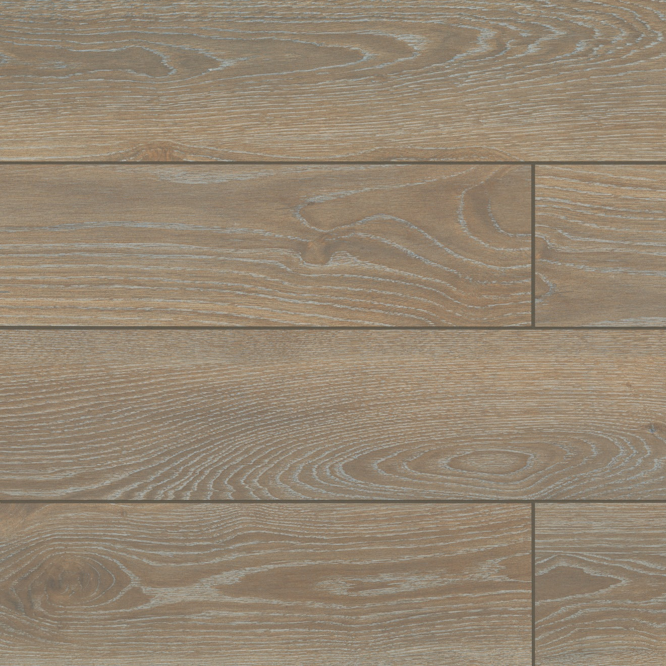 Bedrosians Timberline 10" x 72" Honed Magnolia