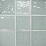 Aloe Green / Light Green