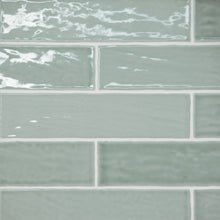 Aloe Green / Light Green