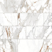 Bedrosians Prati 12" x 24" Polished Calacatta Macchia Vecchia