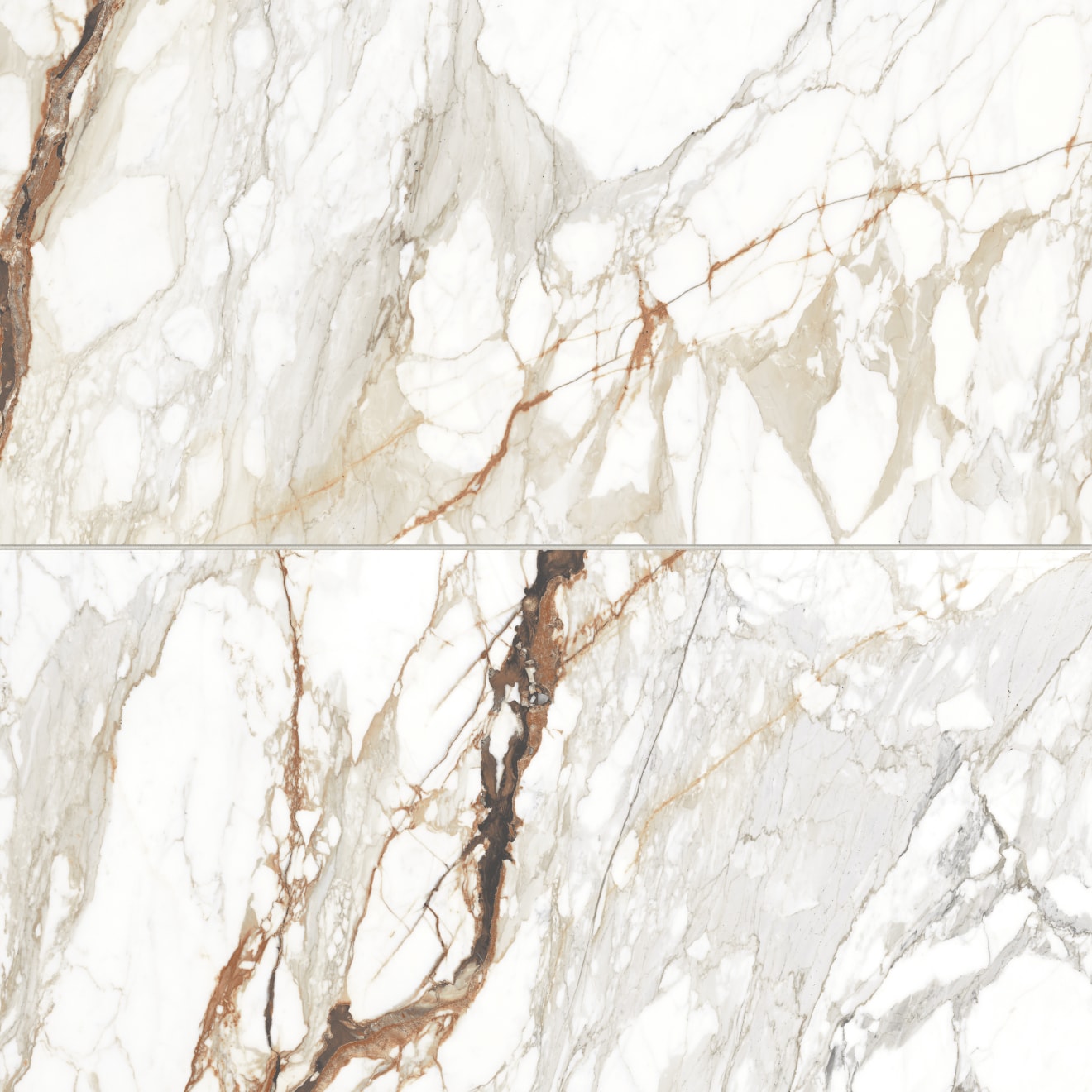 Bedrosians Prati 24" x 48" Polished Calacatta Macchia Vecchia