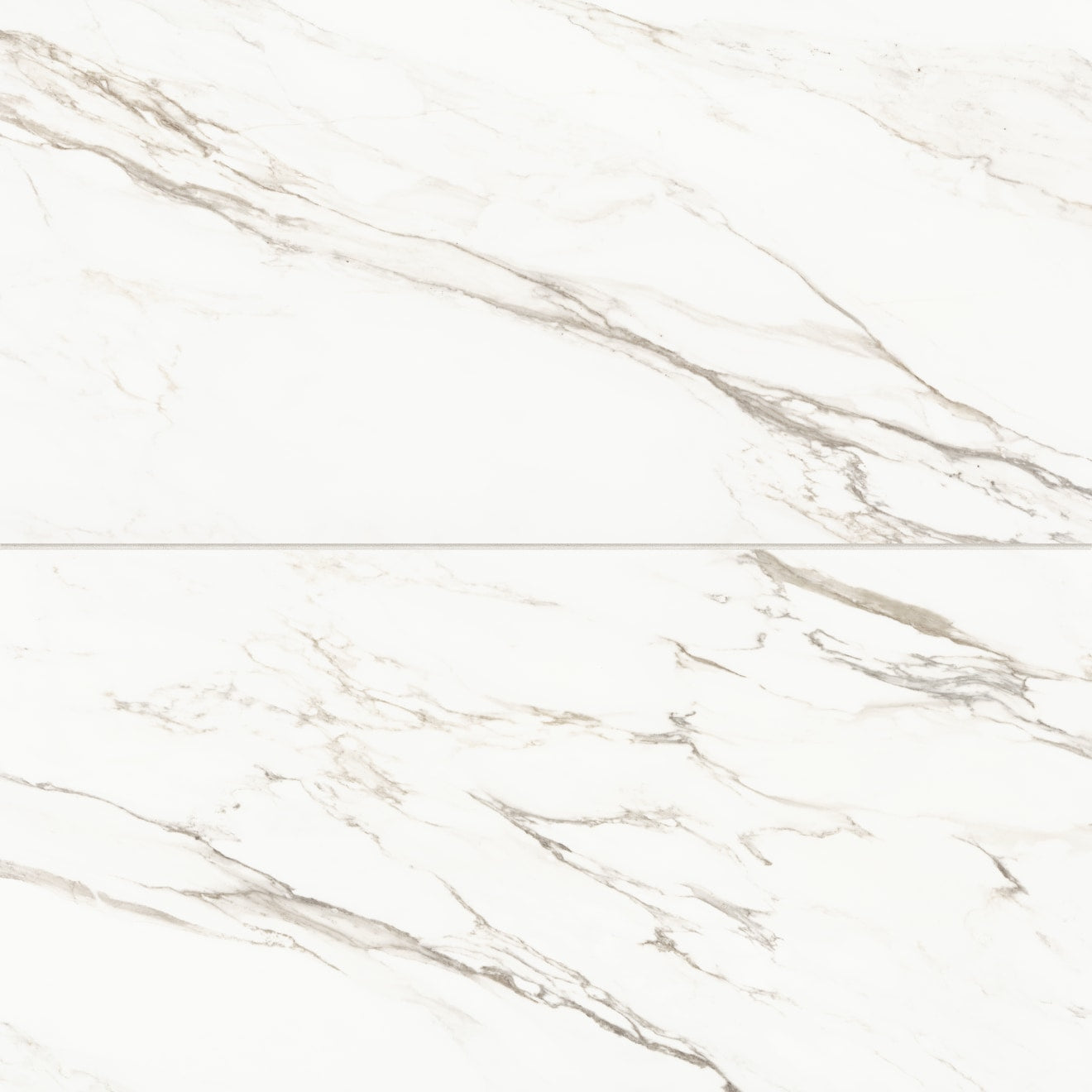Bedrosians Prati 24" x 48" Honed Calacatta Borghini Warm