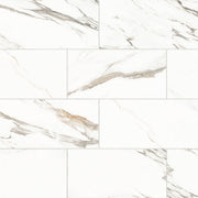 Bedrosians Prati 12" x 24" Polished Calacatta Borghini Warm