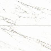 Bedrosians Prati 24" x 48" Polished Calacatta Borghini Warm