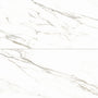 Calacatta Borghini Warm