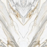 Bedrosians Magnifica Encore Slab 60" x 126" Bookmatched Honed Calacatta Macchia Vecchia