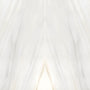 Bianco Lasa