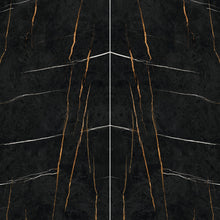 Sahara Noir