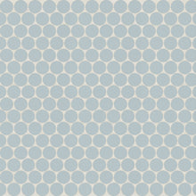 Misty Blue / Light Blue