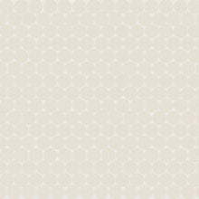 Sand Dollar / Beige