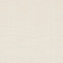 Sand Dollar / Beige