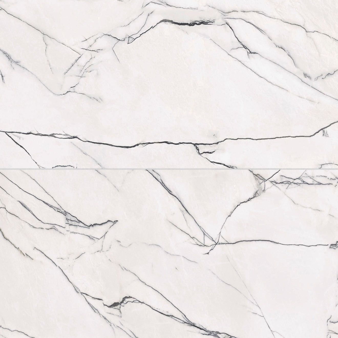 Bedrosians Gemma 24" x 48" Honed Bianca