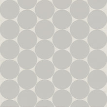 Pebble Gray / Light Gray