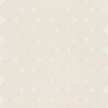 Sand Dollar / Beige