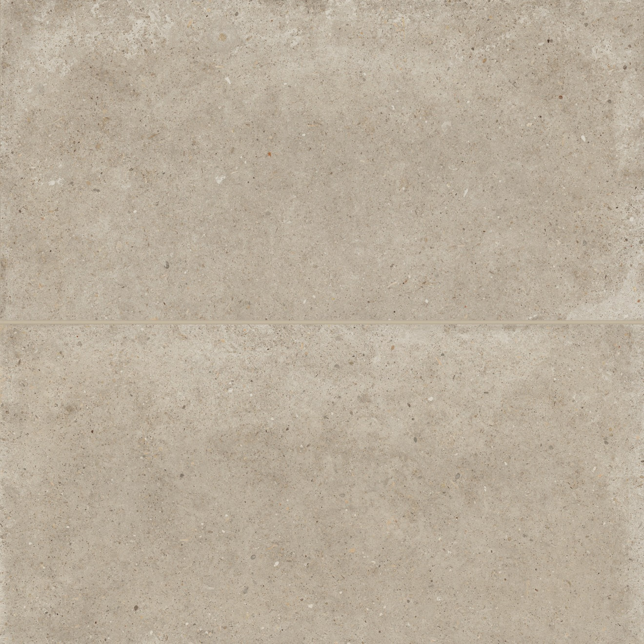 Bedrosians Poetry Stone 24" x 48" Matte Ecru