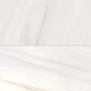 Bedrosians Magnifica 24" x 48" Honed Bianco Lasa