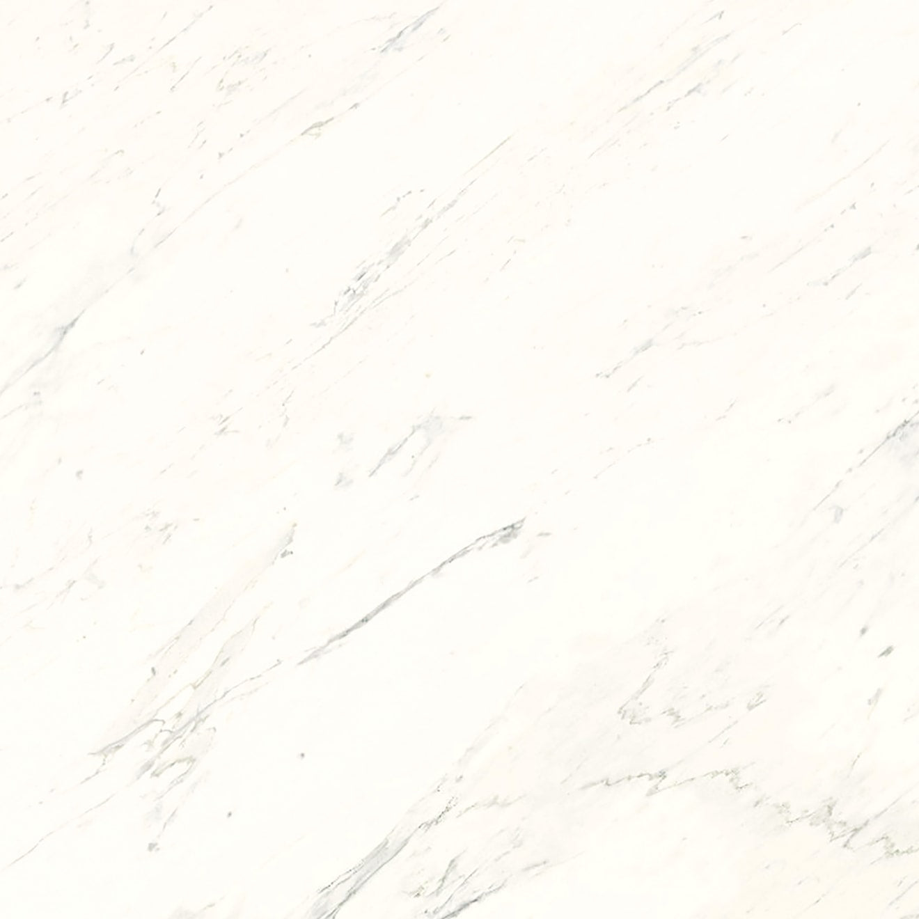 Bedrosians Magnifica Encore Slab 40.62" x 86" Shower Panels Honed Luxe White