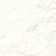 Bedrosians Magnifica Encore Slab 58.5" x 86" Shower Panels Honed Luxe White