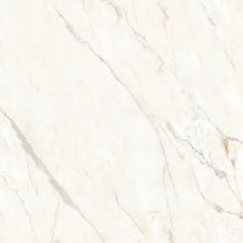 Calacatta Oro