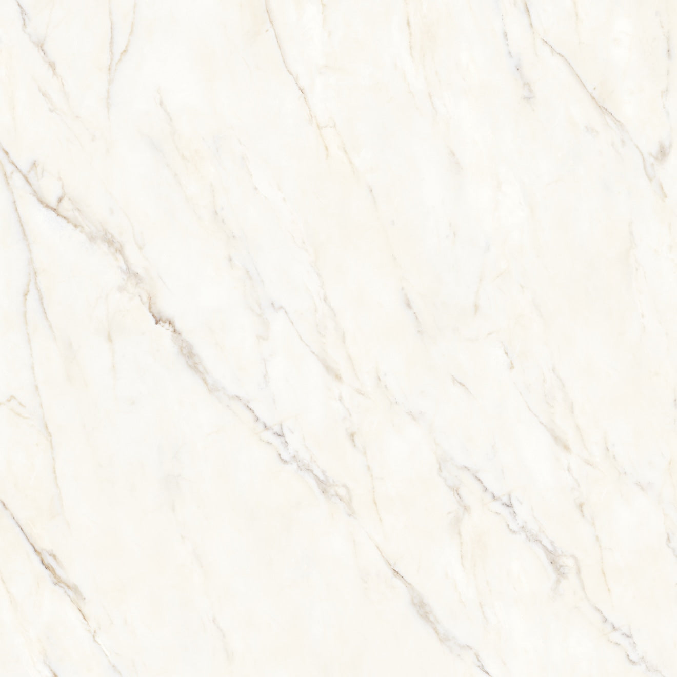 Bedrosians Magnifica Encore Slab 58.5" x 86" Shower Panels Honed Calacatta Oro