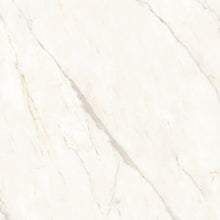 Calacatta Oro