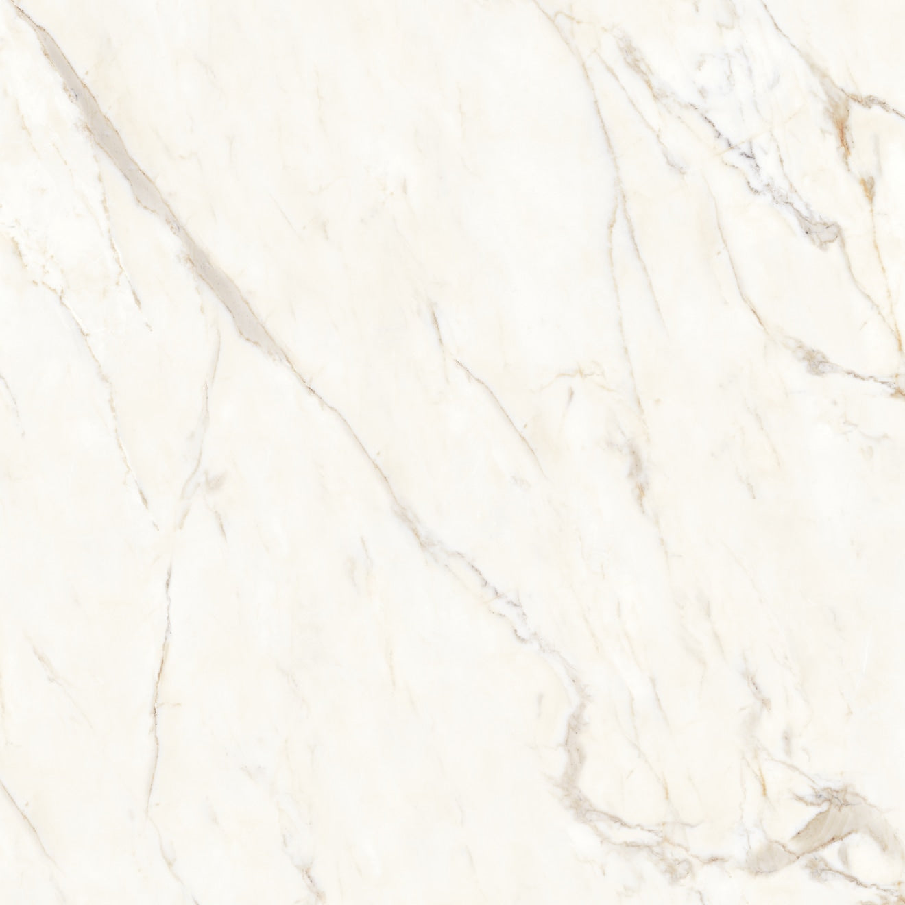 Bedrosians Magnifica Encore Slab 58.5" x 60" Shower Panels Honed Calacatta Oro