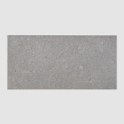 Bedrosians Ikonite 12" x 24" Honed Grey