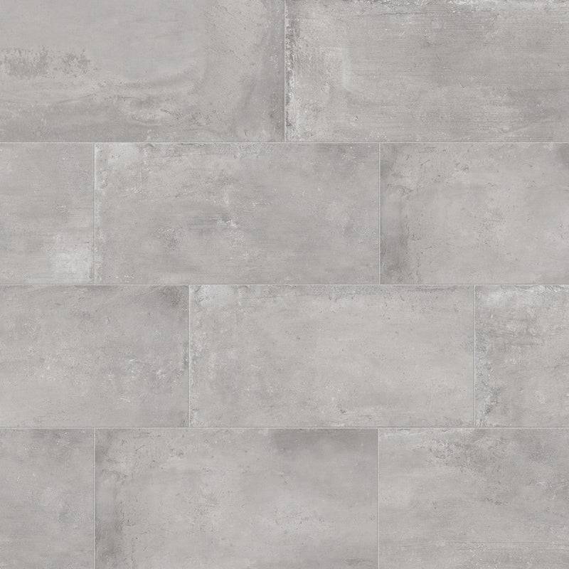 Bedrosians +One 12" x 24" Matte Ash