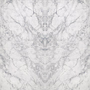 Bedrosians Nouvel 63" x 126" Bookmatch Slab 3cm Honed Imperial Dolomite
