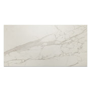 Bedrosians Opus 24" x 48" Chiseled Deco Matte Statuario