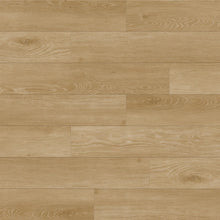 Cedar