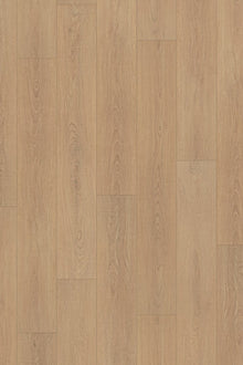 Alpine Oak