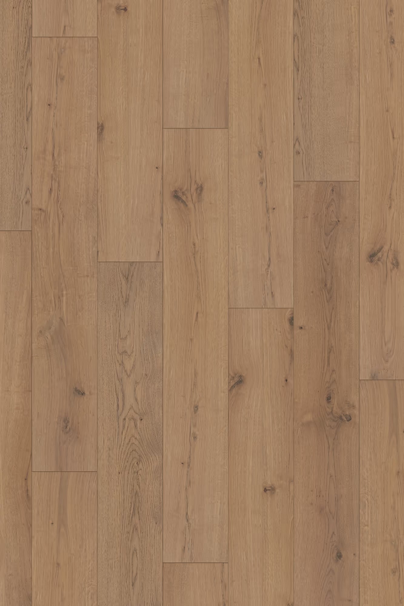 Happy Feet International Arrival 10 7.68 x 47.83 10 MM Legacy Oak