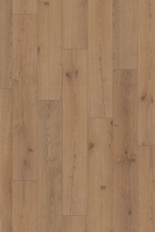 Legacy Oak