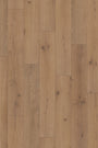 Legacy Oak