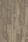 European Oak