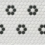 White/Black Flower