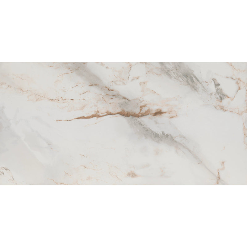 Tile Shop I Pisa 24x48 Polished Oro