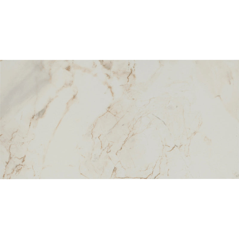 Tile Shop I Pisa 12x24 Matte Oro