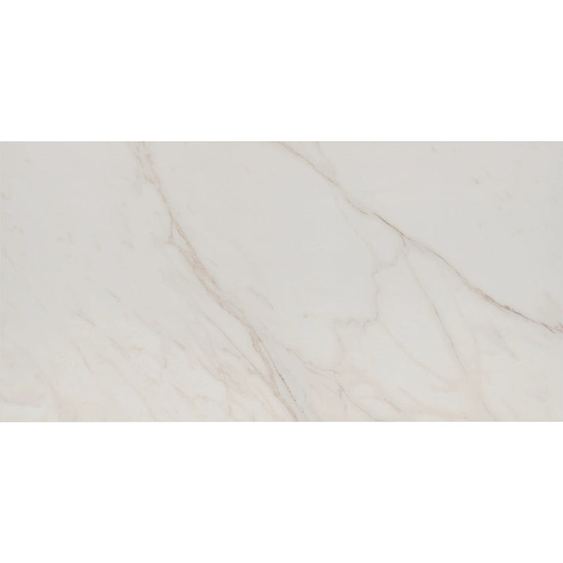 Tile Shop I Tresana 24x48 Matte White